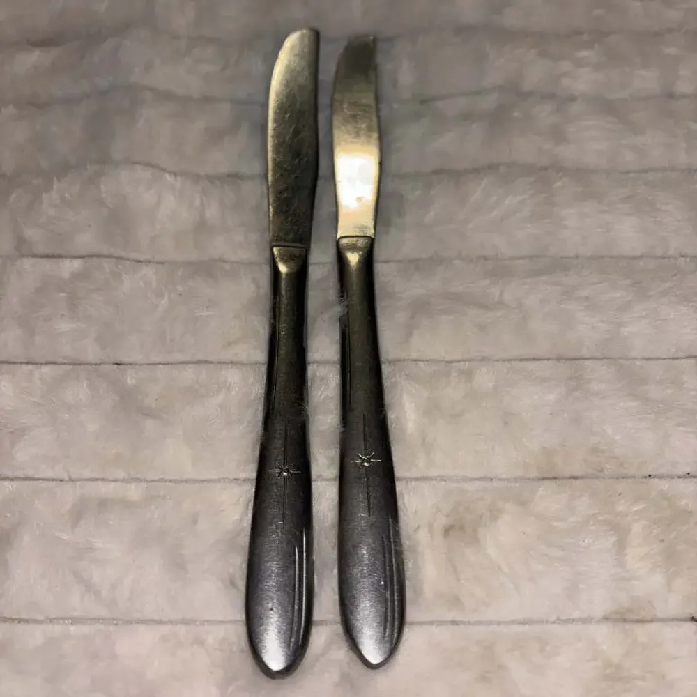 Pair of 2 Vintage Oneida Twin Star Stainless Dinner Knives 8.25